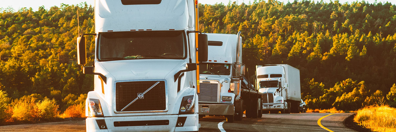 Años de experiencia en el transporte terrestre y logistica